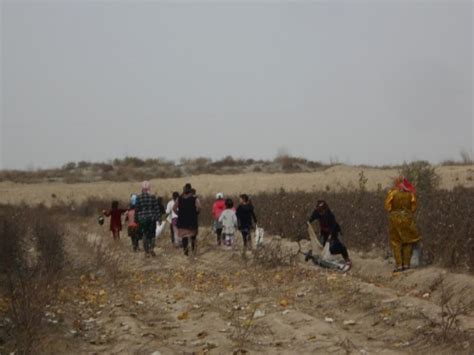 KSCUT System Uzbekistan|Roadmap of Reforms for Uzbekistan — Cotton Campaign.